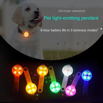 USB Rechargeable Led Dog Tag