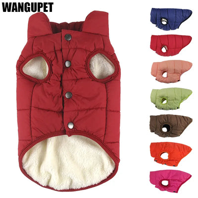 Gilet Body Warmer