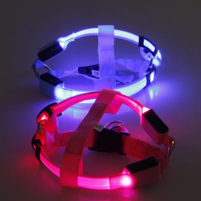 USB Rechargeable LED Harness