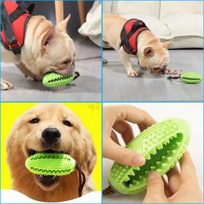 Chew Toy Treat Dispenser