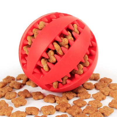 Suction Ball Rope Toy