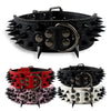 Spiked Leather Dog Collar