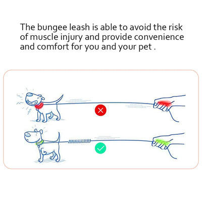 Bungee Lead Extension