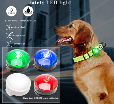 LED Dog Tag Light