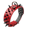 Spiked Leather Dog Collar