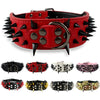 Spiked Leather Dog Collar