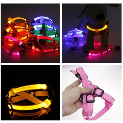 USB Rechargeable LED Harness