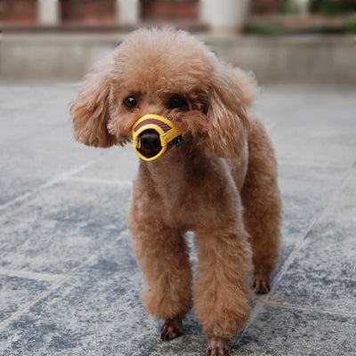 Small Mesh Muzzle