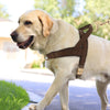 No-Pull Adjustable Dog Harness