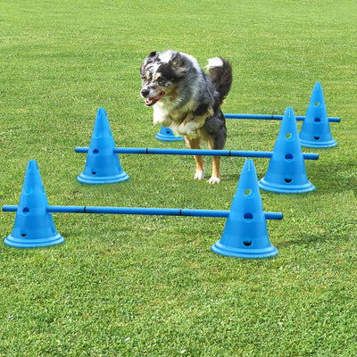 Portable Pet Agility Set