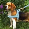 No-Pull Adjustable Dog Harness