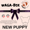 NEW PUPPY BOX