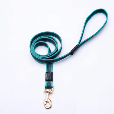 1.5m Classic Nylon Leash