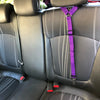 2-in-1 Doggy Seatbelt and Short Lead