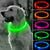 Glowstick Dog Collar