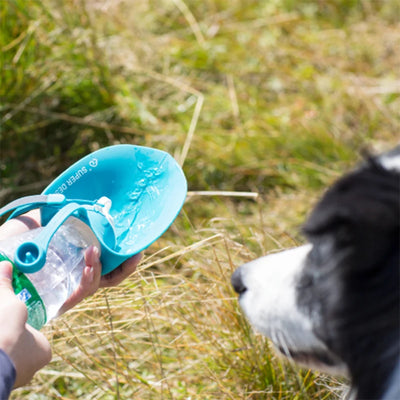 580ml Dog Water Bottle