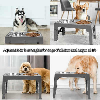 Elevated Dog Bowls