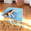 Ultimate Cooling Pet Mat