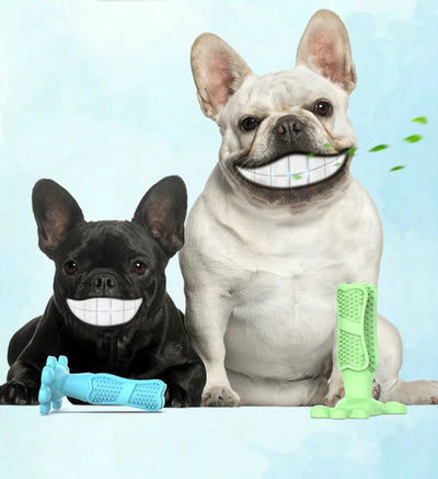 Teeth Cleaning Treat Toys