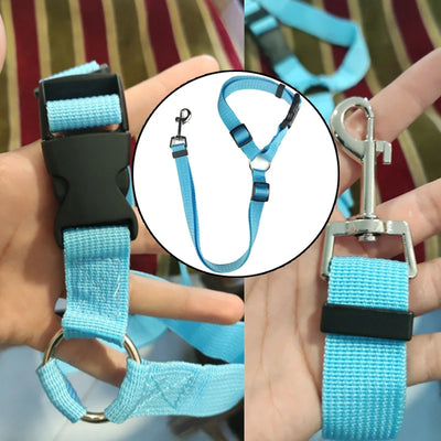 2-in-1 Doggy Seatbelt and Short Lead