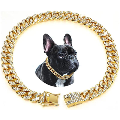 Dog Chain Collar