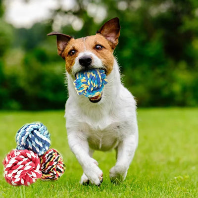 Knotted Rope Toys