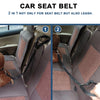 2-in-1 Doggy Seatbelt and Short Lead