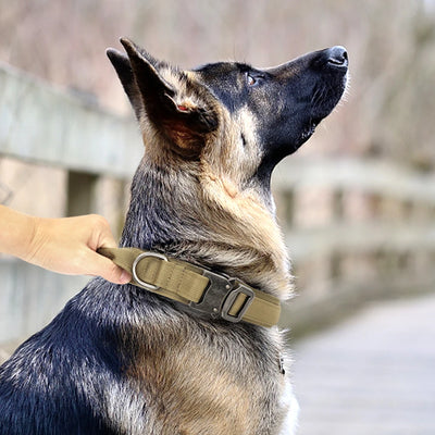 Military Tactical Dog Collar