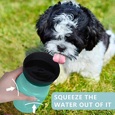 Sqeeze Up Water Bottle