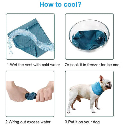 Summer Ice Cooling Collar