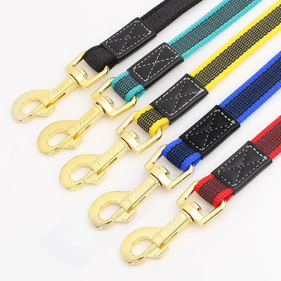 2m Classic Nylon Lead