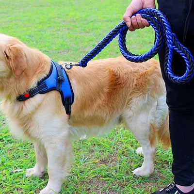 Nylon Dog Lead