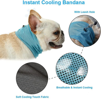 Summer Ice Cooling Collar