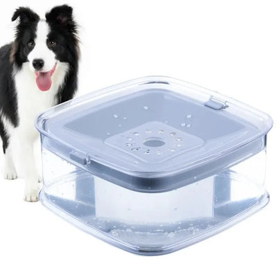 Floating Filtered Water Bowl