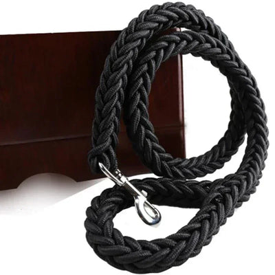 Nylon Dog Lead