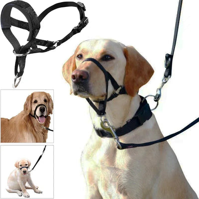 Halter Training Muzzle