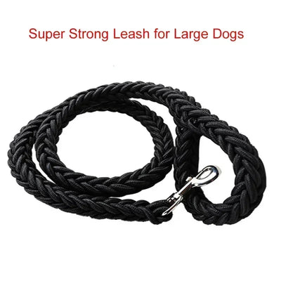 Nylon Dog Lead