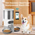 Smart Pet Feeder