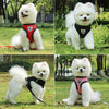 Breathable Harness Small Breed