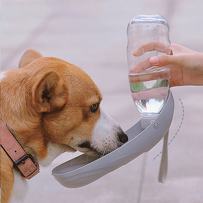 Portable Water Bottle