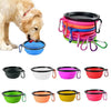 Collapsible Water/Food Bowls