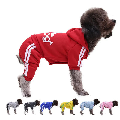 Small Breed Tracksuit Set