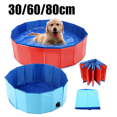 Doggy Paddling Pool