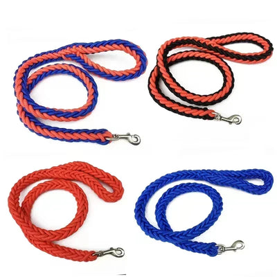 Nylon Dog Lead