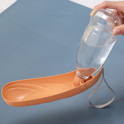 Portable Water Bottle