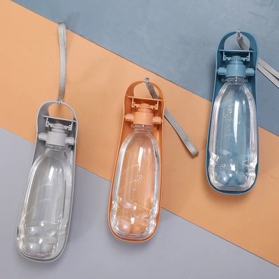 Portable Water Bottle