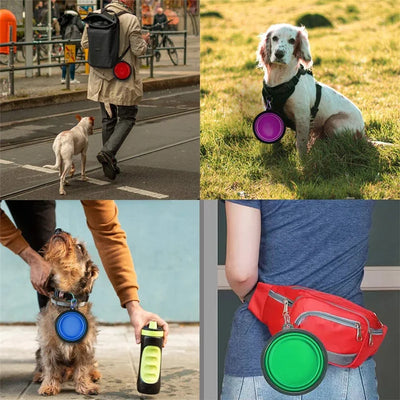 Collapsible Water/Food Bowls