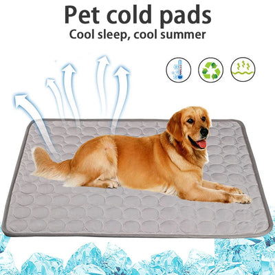 Pet Ice Pad