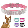 Crystal Collar Small Breed