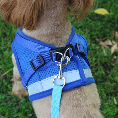 Mesh Reflective Harness